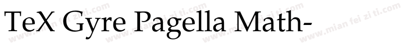 TeX Gyre Pagella Math字体转换
